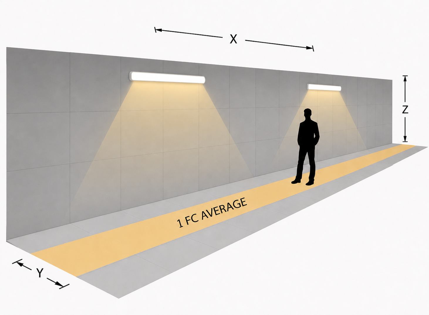 Commercial Lighting | Stairwell Fixture 2 ft Photometrics