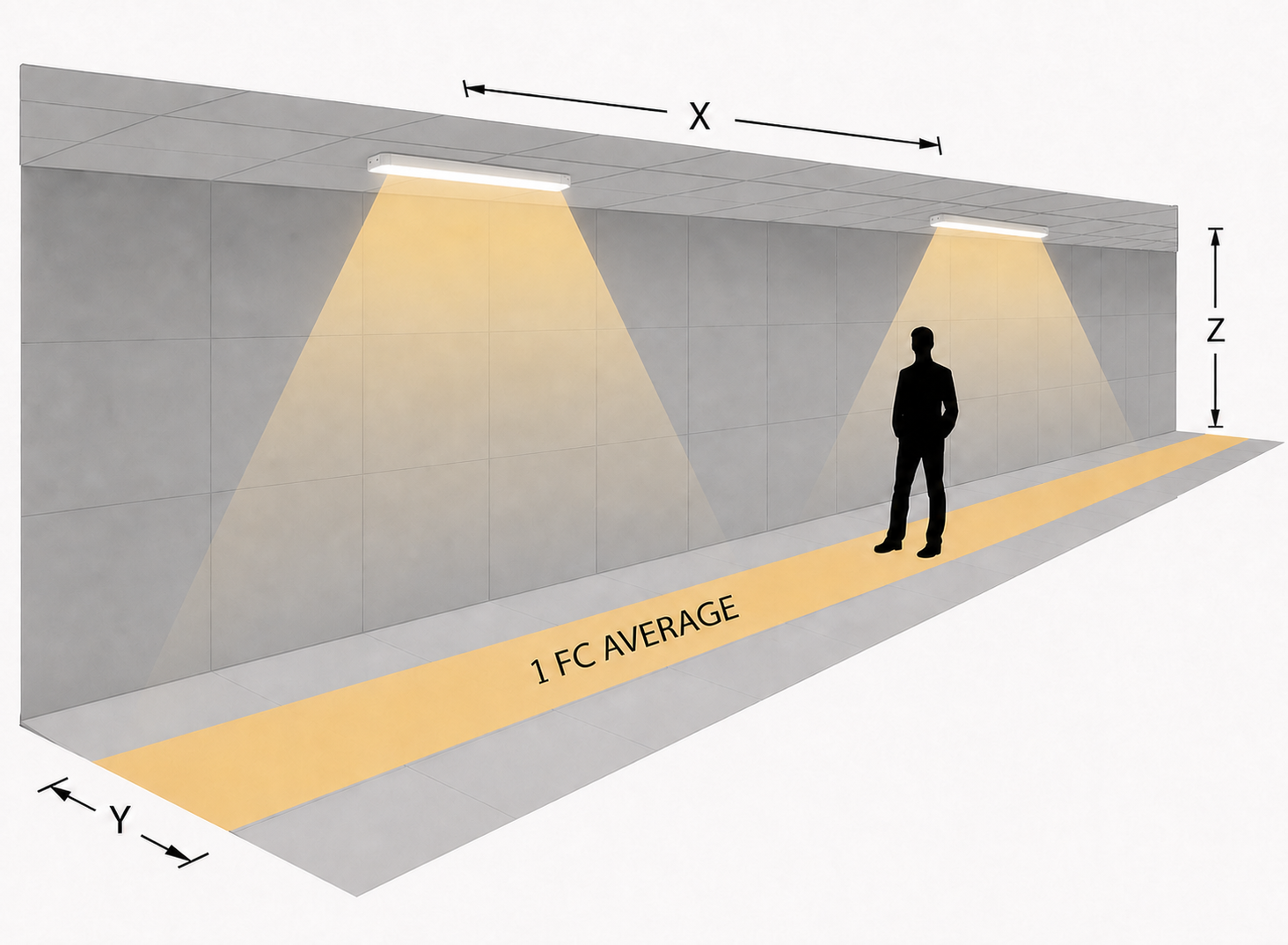 Commercial Lighting | Strip Fixture 2 ft Photometrics