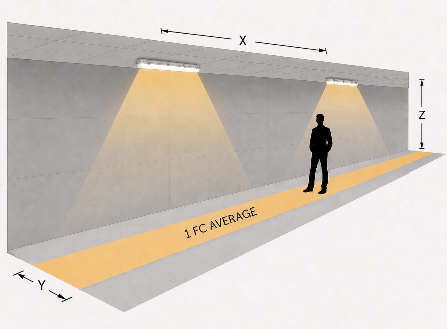 Commercial Lighting | Vapor Tight Fixture 4 ft Photometrics