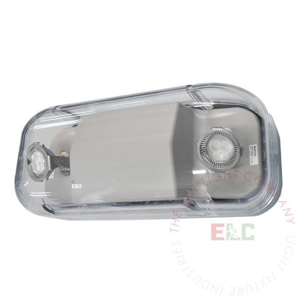 LED Hazardous Location Emergency Light | Class 1 Division 2 | Adjustable Lamp Heads