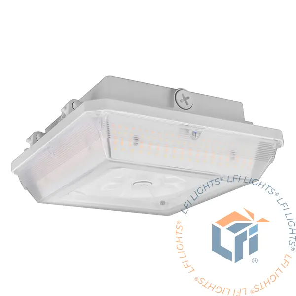 Commercial Lighting | Canopy and Garage Fixture
